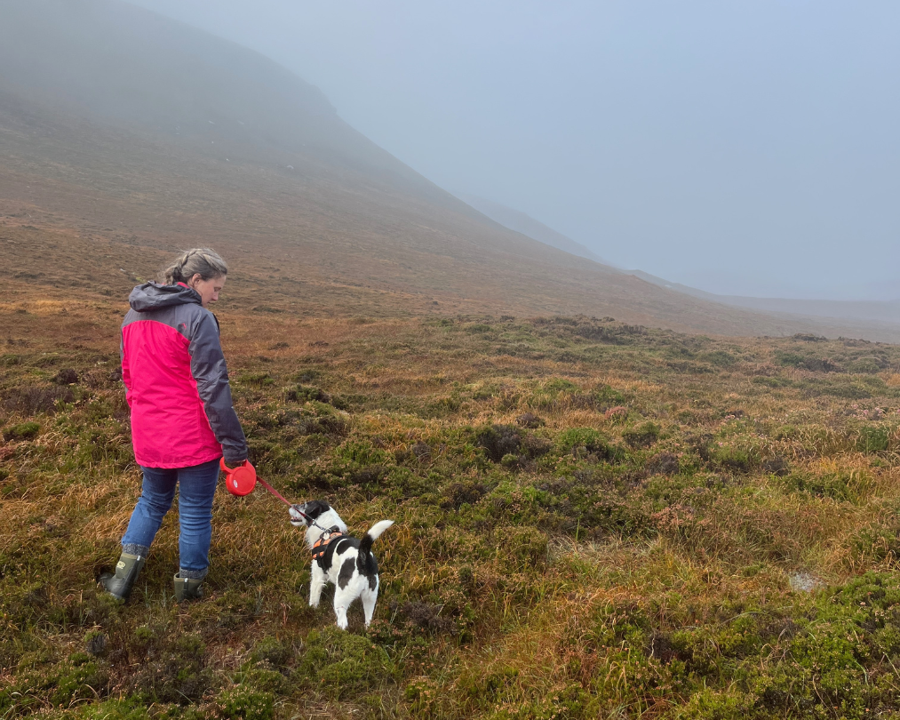 Hannah & her dog Kiki looking at each other.The photo is taken from behind, showing the Orkney landscape in the background